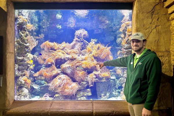 Tour of Aquarium