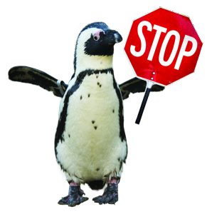 Penguin holding stop sign